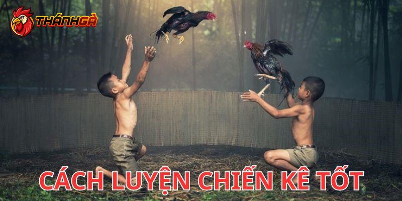 Cách huấn luyện gà đánh đâu thắng đó cho kê thủ