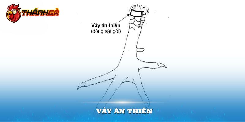 vảy án thiên